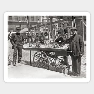 Little Italy Food Cart, 1908. Vintage Photo Sticker